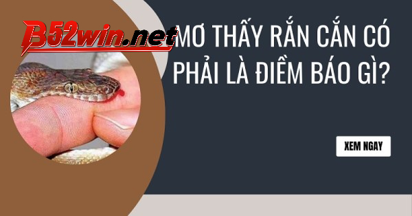 Mơ thấy rắn cắn vào tay đánh con gì?