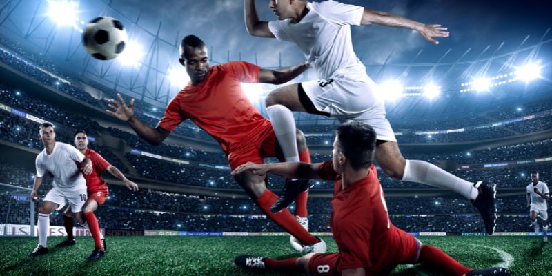Cá cược Euro cùng những lợi ích không ngờ đến